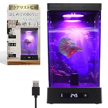 bagusstyle☆天然木　リサイクルガラス　アクアリュウム　ベター飼育等 Keeping a betta in a stylish aquarium with driftwood - YouTube